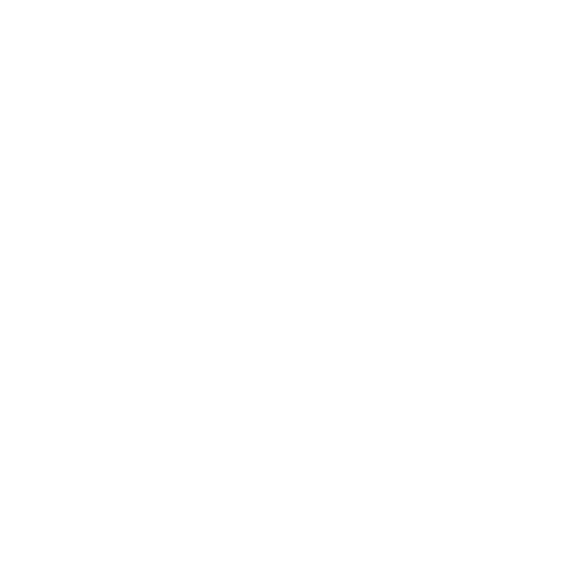 icon1
