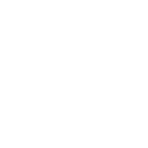icon2